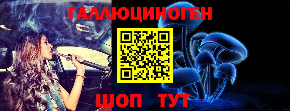 Заводоуковск  Псилоцибиновые грибы Cubensis  Вход с VPN 
