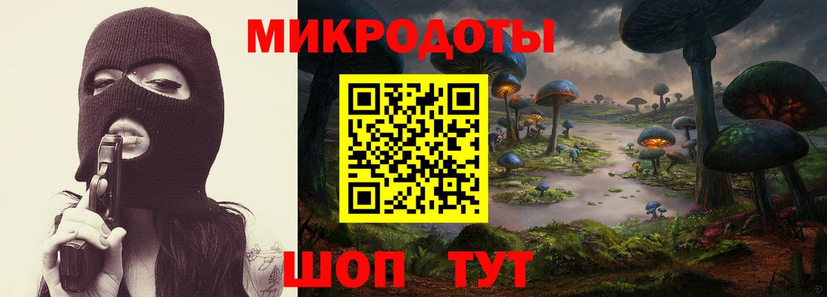 Псилоцибиновые грибы MAGIC MUSHROOMS Заводоуковск