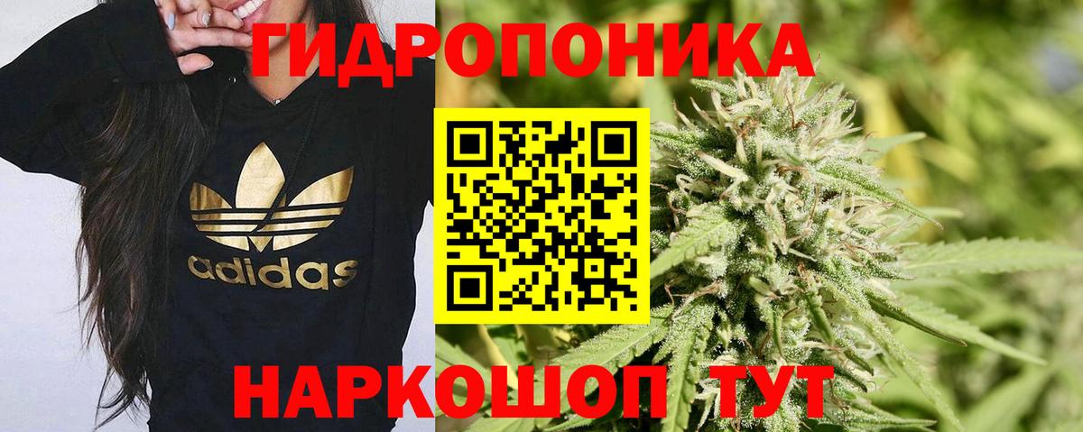 Конопля MAZAR Заводоуковск